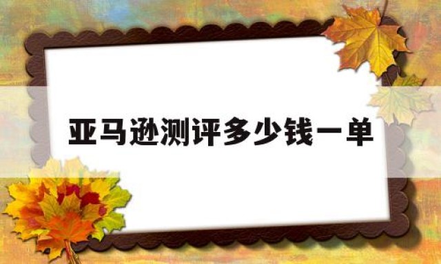 亚马逊测评多少钱一单