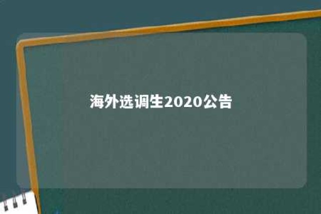 海外选调生2020公告 海外选调生名单